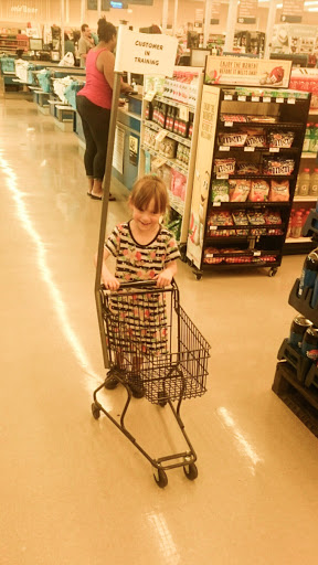 Grocery Store «Food Lion», reviews and photos, 809 N Brown St, Chadbourn, NC 28431, USA