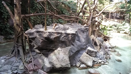 Gift Shop «Minnesota Zoo Gift Shop», reviews and photos, 13000 Zoo Blvd, Apple Valley, MN 55124, USA