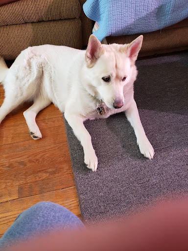 215 Eagle Rock Ave, Roseland, NJ 07068, USA