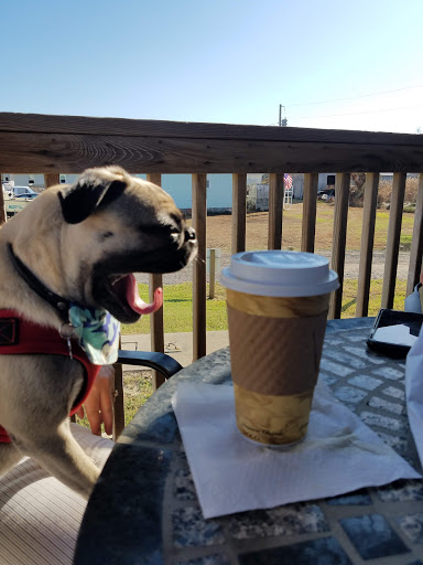 Coffee Shop «Dancing Turtle Coffee Shop», reviews and photos, 58079 NC-12, Hatteras, NC 27943, USA