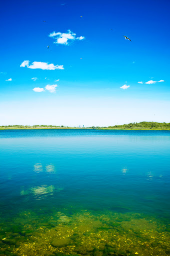 Park «Marine Park», reviews and photos, Fillmore Ave, Brooklyn, NY Brooklyn, USA