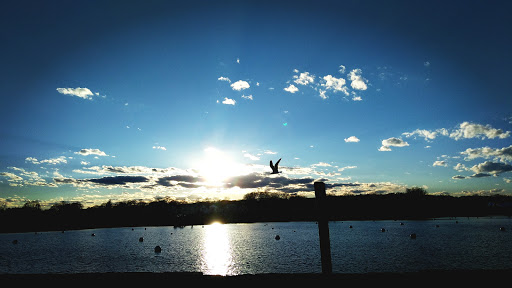 Grocery Store «Green Harbor General Store», reviews and photos, 40 Marginal St, Marshfield, MA 02050, USA