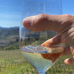 Photo n°1 de l'avis de niccolò.a fait le 29/03/2023 à 08:31 sur le  Enoteca Il Quartino di Marchesi Frescobaldi à Pelago