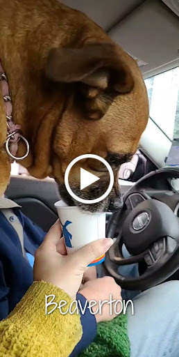 Coffee Shop «Dutch Bros Coffee», reviews and photos, 8940 SW Hall Blvd, Portland, OR 97223, USA