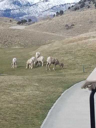 Golf Club «Cedar Hills Golf Club», reviews and photos, 10640 Clubhouse Dr, Pleasant Grove, UT 84062, USA