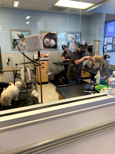 Pet Supply Store «Petco Animal Supplies», reviews and photos, 4440 Rib Mountain Dr, Wausau, WI 54401, USA