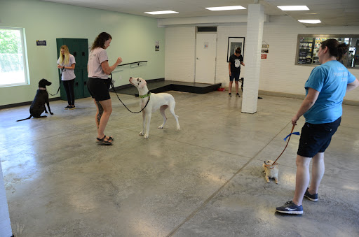 Dog Trainer «Mad 4 My Dog», reviews and photos, 702 E Temperance St, Ellettsville, IN 47429, USA