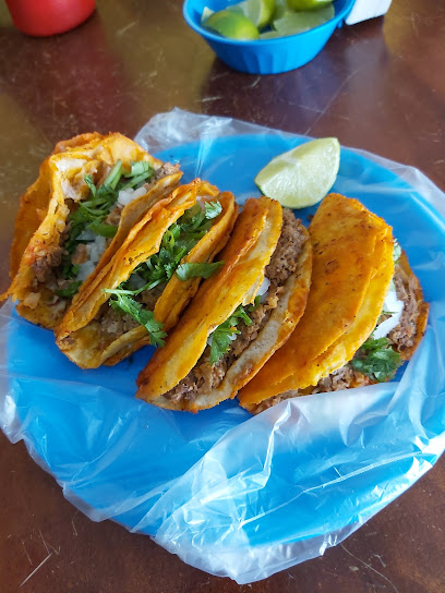 Tacos Barbaros - Calle E. Zapata 220, Centro, 99000 Fresnillo, Zac., Mexico