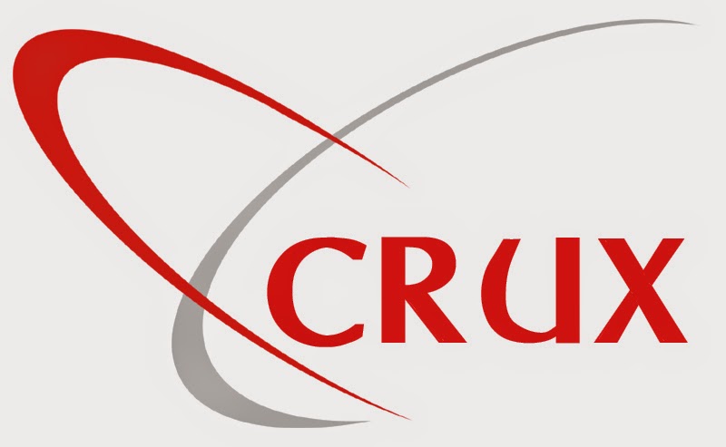 CRUX Consulting Services