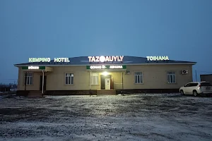 TAZAuyly image