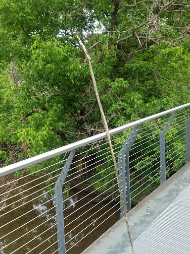 Park «Arthur K Draut Park», reviews and photos, Bowling Blvd, St Matthews, KY 40207, USA