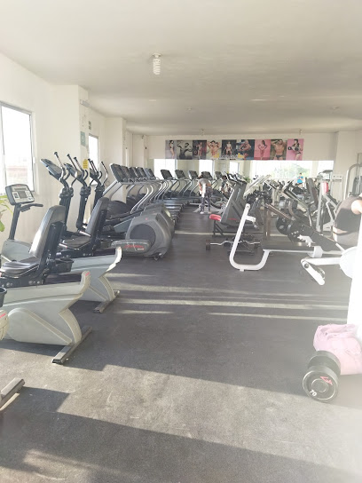 Iron Gym - 76113 San Pedro Martir, Qro., Mexico