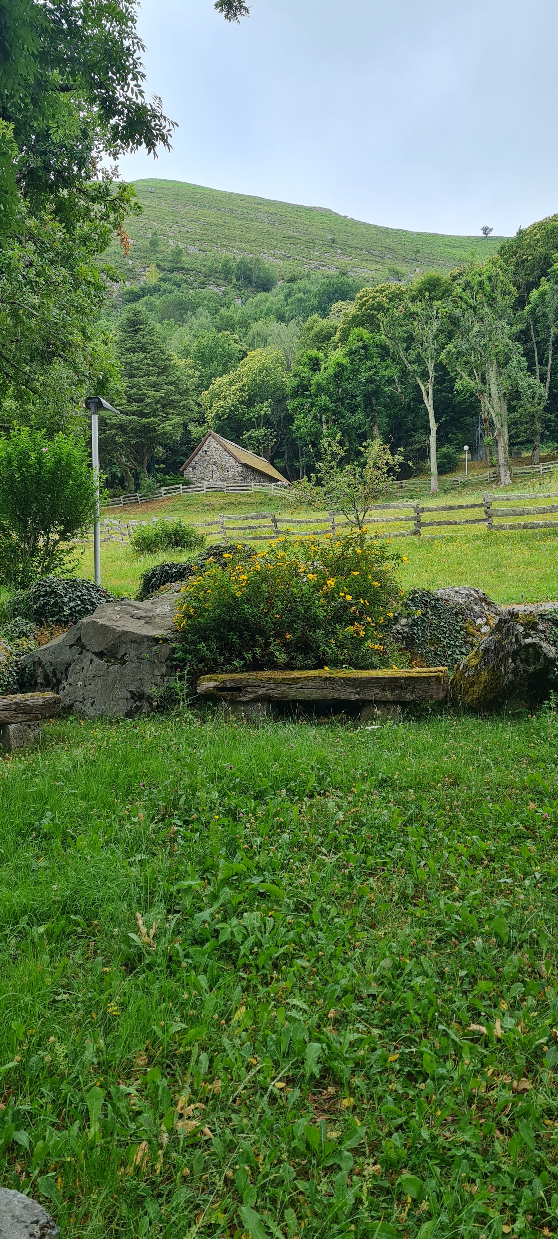 Photo n° 6 de l'avis de C..a fait le 21/06/2022 à 16:20