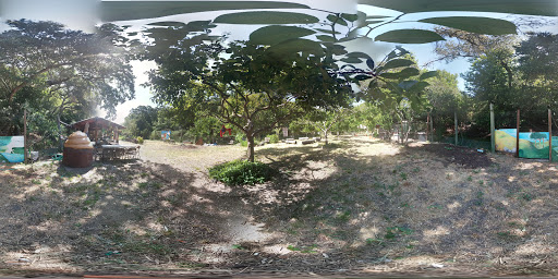 High School «San Domenico School», reviews and photos