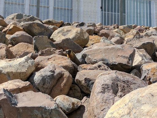 Golf Course «Lakeridge Golf Course», reviews and photos, 1218 Golf Club Dr, Reno, NV 89519, USA