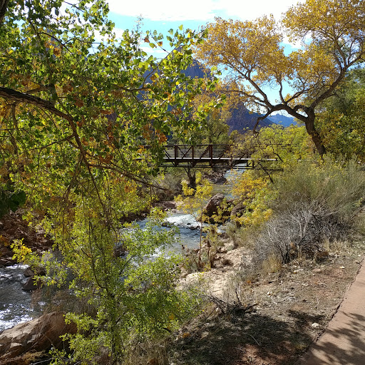 Dave Stromberg / Weichert, Realtors Diana Realty Real Estate Agents