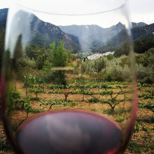 Bodega El Celler de la Ibola en Aín