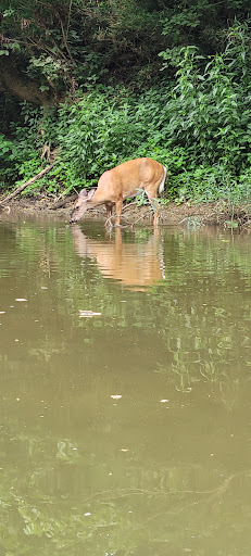 Park «Harrods Creek Park», reviews and photos, 6530 Montero Dr, Prospect, KY 40059, USA