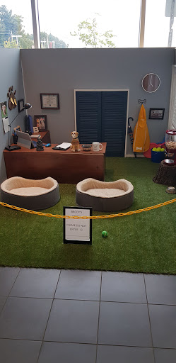 Toyota Dealer «Rockingham Toyota», reviews and photos, 412 S Broadway, Salem, NH 03079, USA