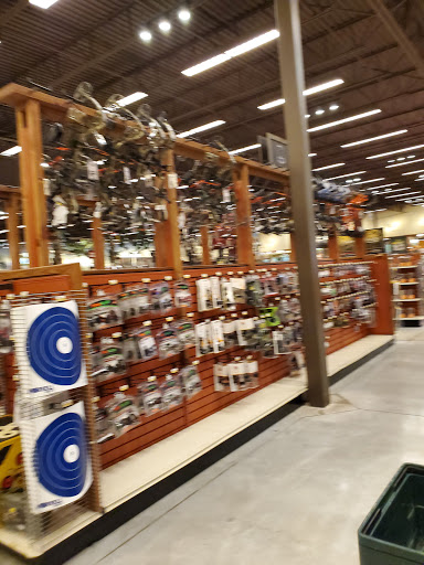 Sporting Goods Store «Bass Pro Shops», reviews and photos, 200 Bass Pro Dr, Round Rock, TX 78665, USA