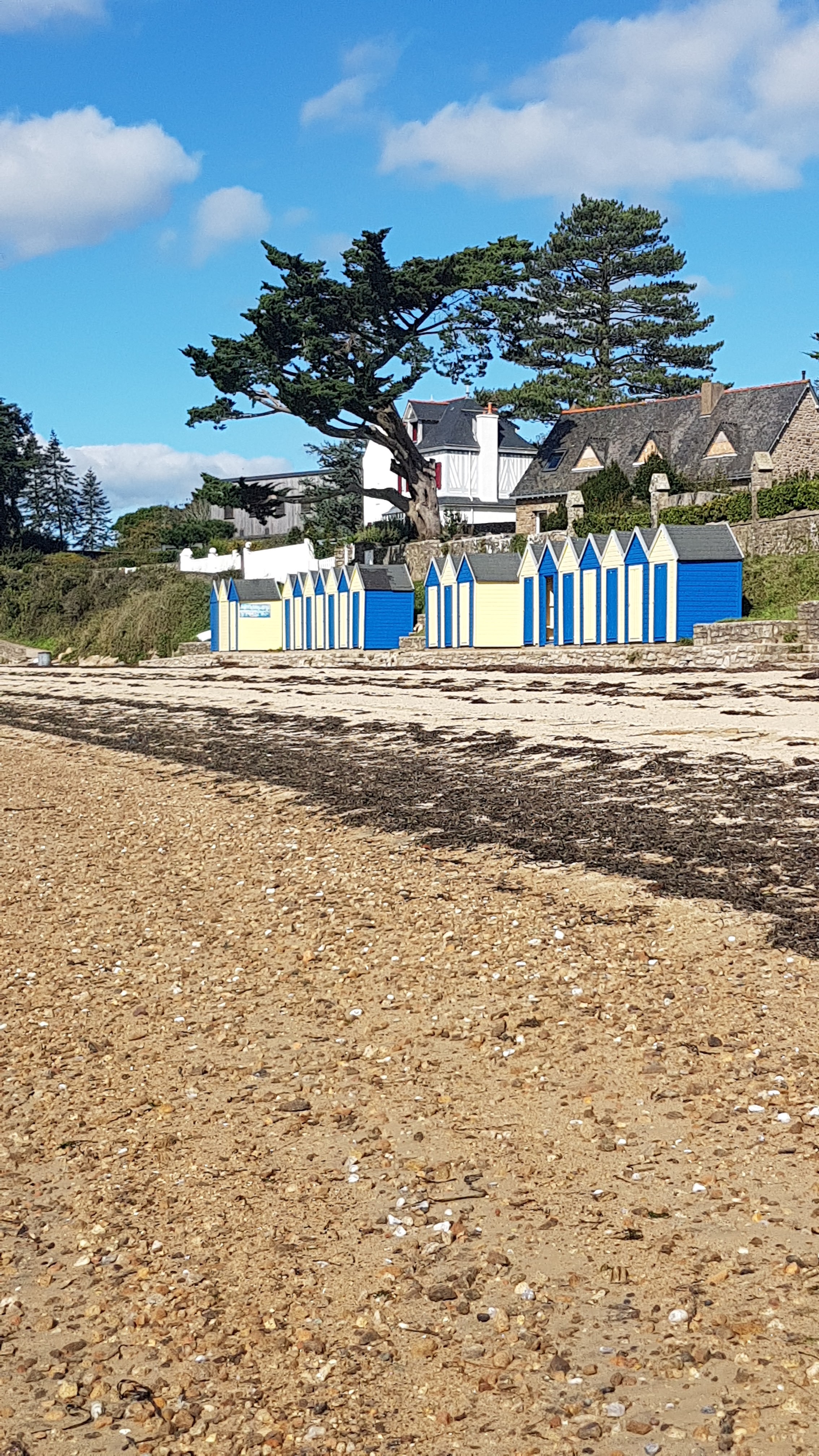 Photo n° 23 de l'avis de Mostrey.a fait le 09/10/2020 à 12:36