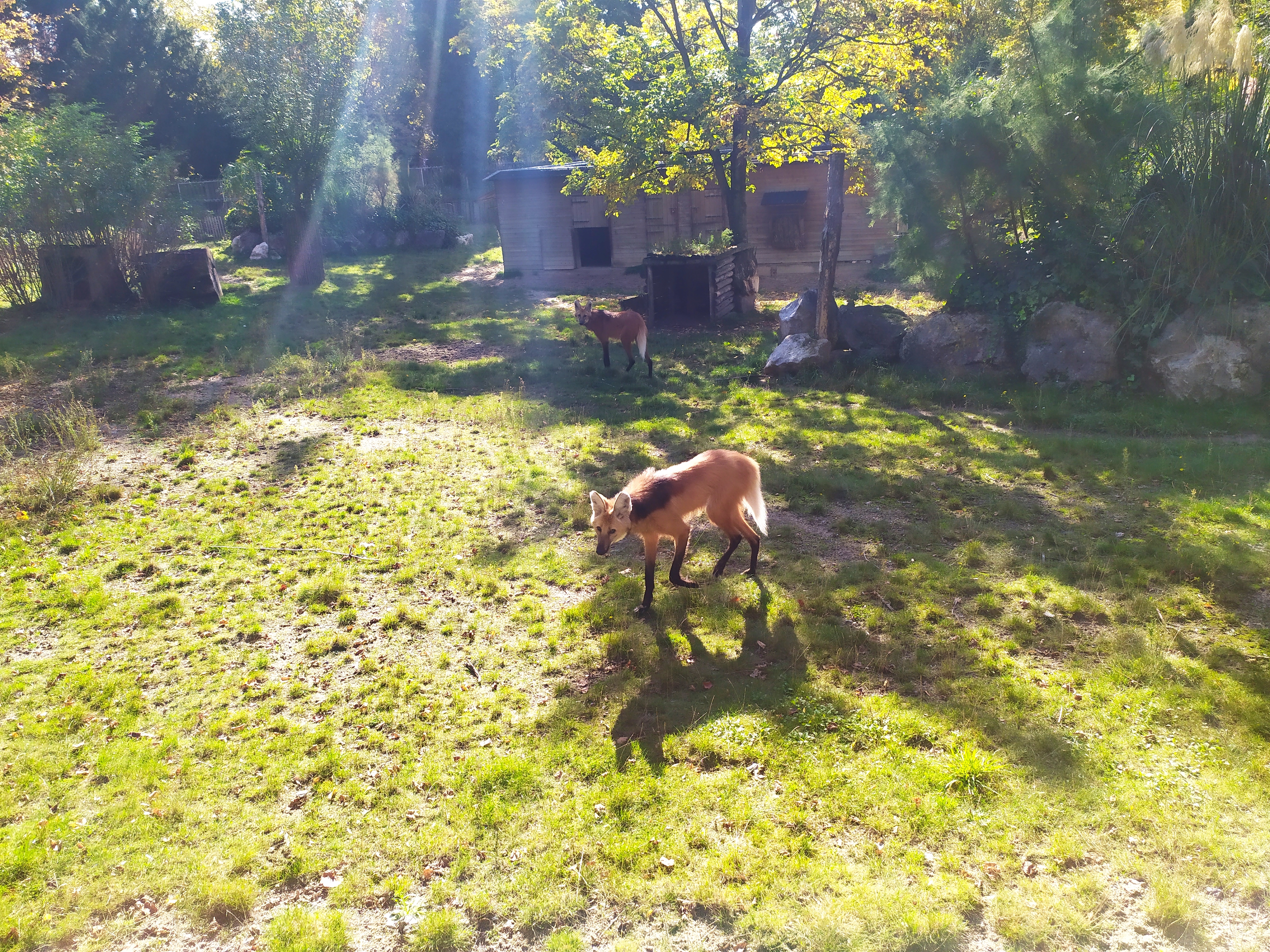 Photo n° 2 de l'avis de Boutebel.b fait le 16/10/2021 à 23:36