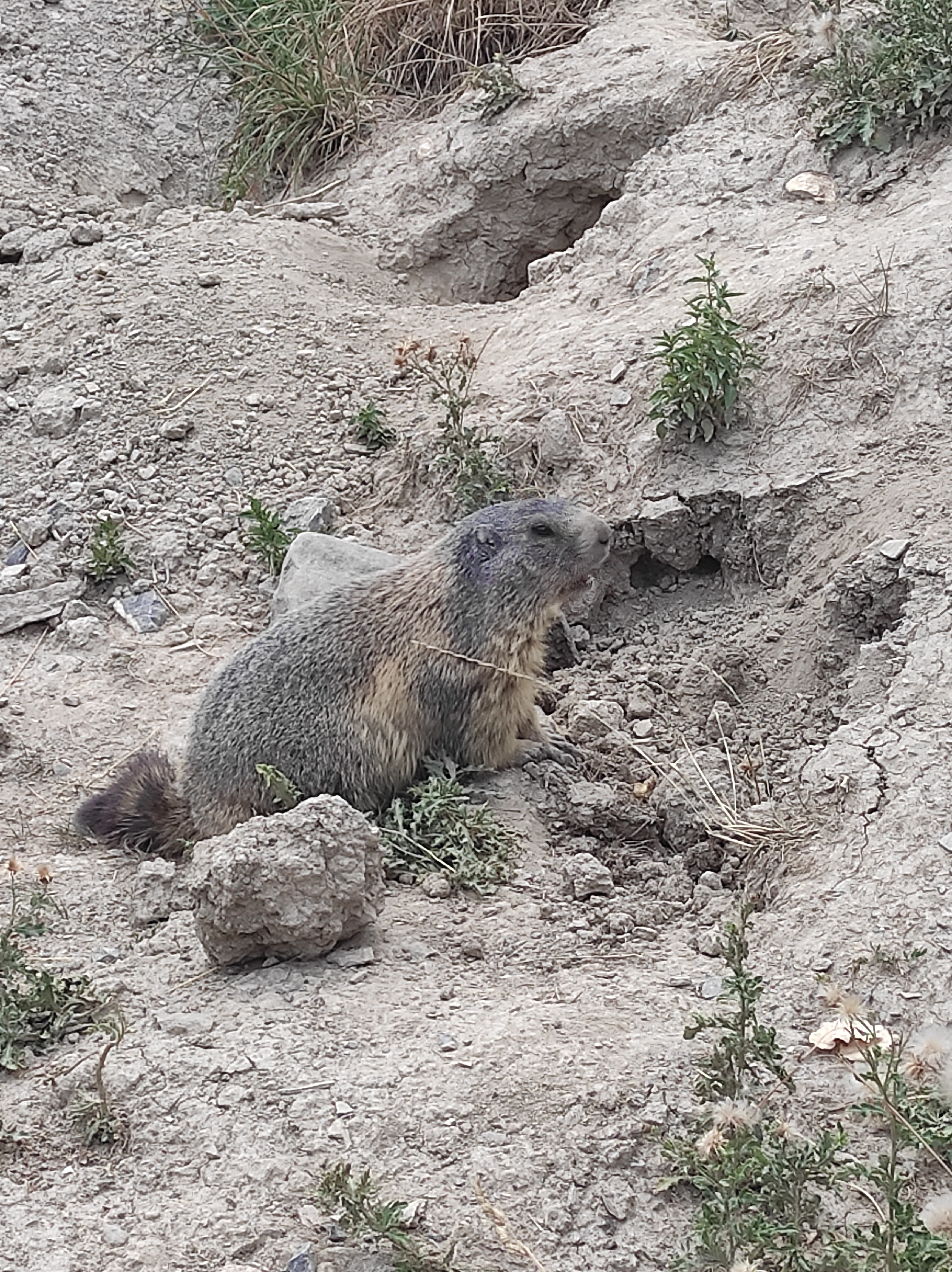 Photo n° 3 de l'avis de Evelyne.e fait le 29/07/2022 à 14:49