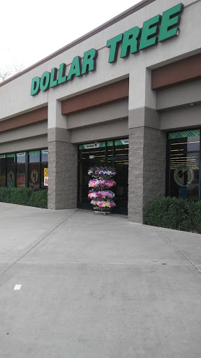 Dollar Store «Dollar Tree», reviews and photos, 5715 W Bell Rd, Glendale, AZ 85308, USA