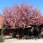 Photo n°8 de l'avis de Babette.i fait le 21/04/2019 à 21:16 sur le  Landhotel & Restaurant Der Schafhof Amorbach à Amorbach