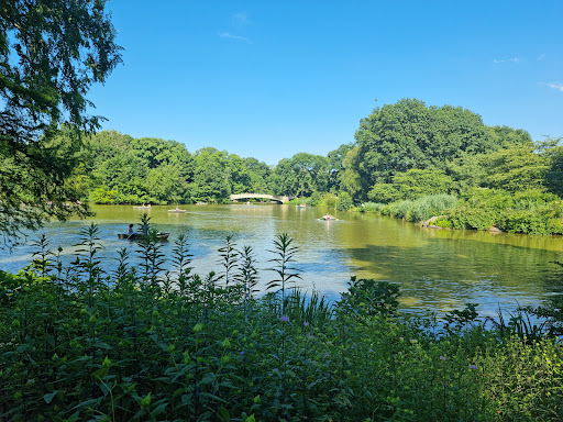 Central Park, New York, NY