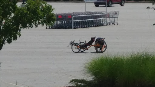 Bicycle Store «Bicycles Unlimited», reviews and photos, 266 S Peachtree Pkwy, Peachtree City, GA 30269, USA