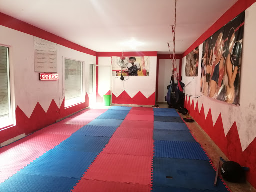 RHINO Boxing Club, villa de san miguel