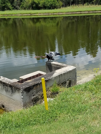 Golf Club «Crescent Oaks Golf Club», reviews and photos, 3300 Crescent Oaks Blvd, Tarpon Springs, FL 34688, USA