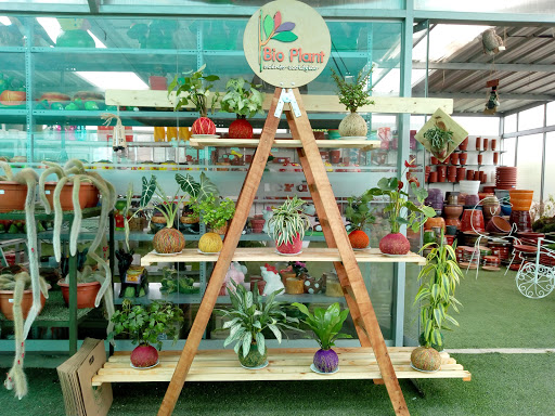 Tiendas para comprar plantas huerto Arequipa