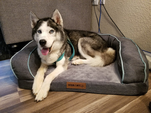 Dan and Cindy's Pet Salon