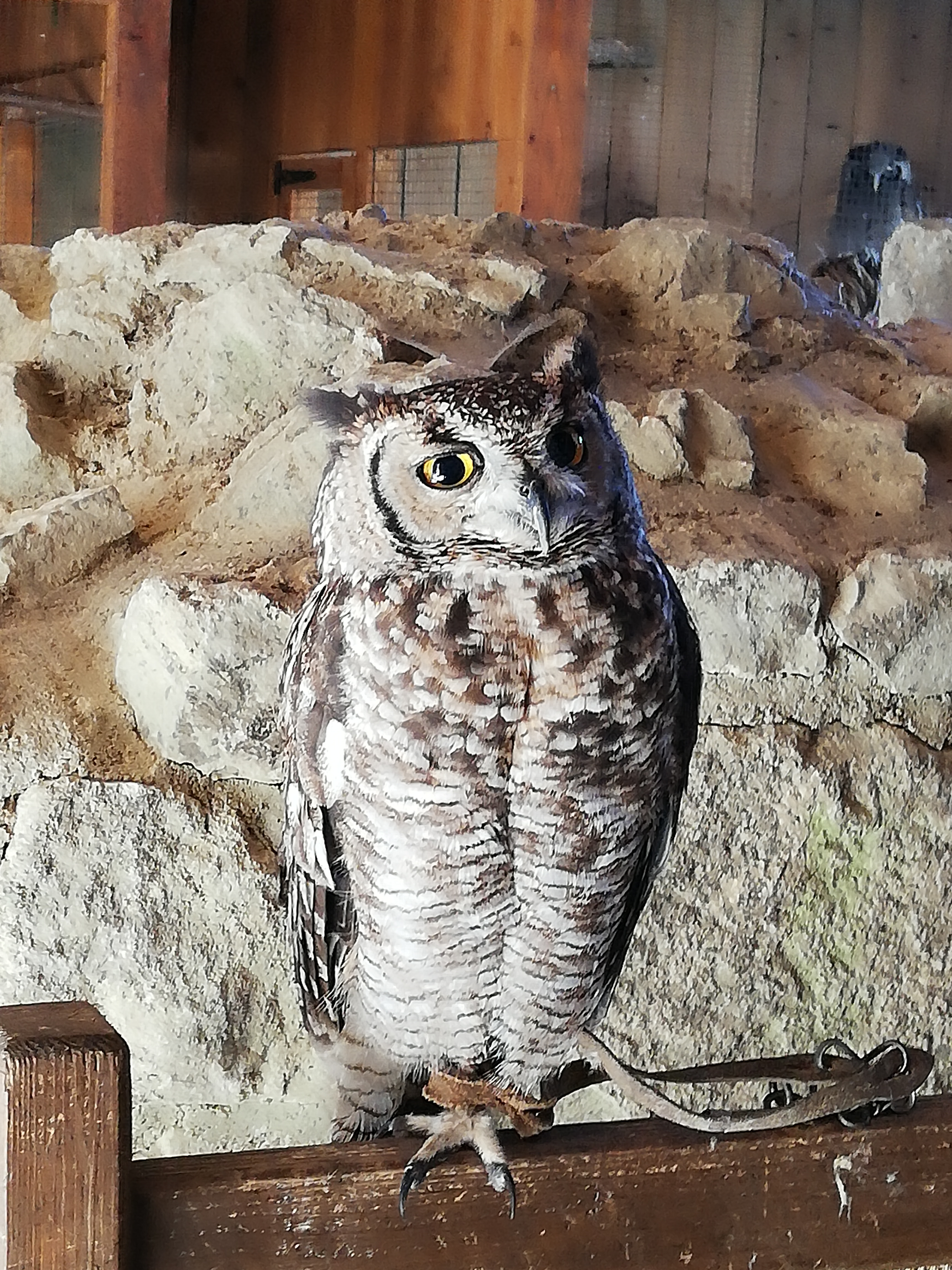 Photo n° 1 de l'avis de Cindy.r fait le 29/08/2019 à 06:17