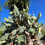 Photo n°8 de l'avis de 19Beach73. fait le 13/05/2024 à 19:36 sur le  Maison Tresnuraghes à Tresnuraghes