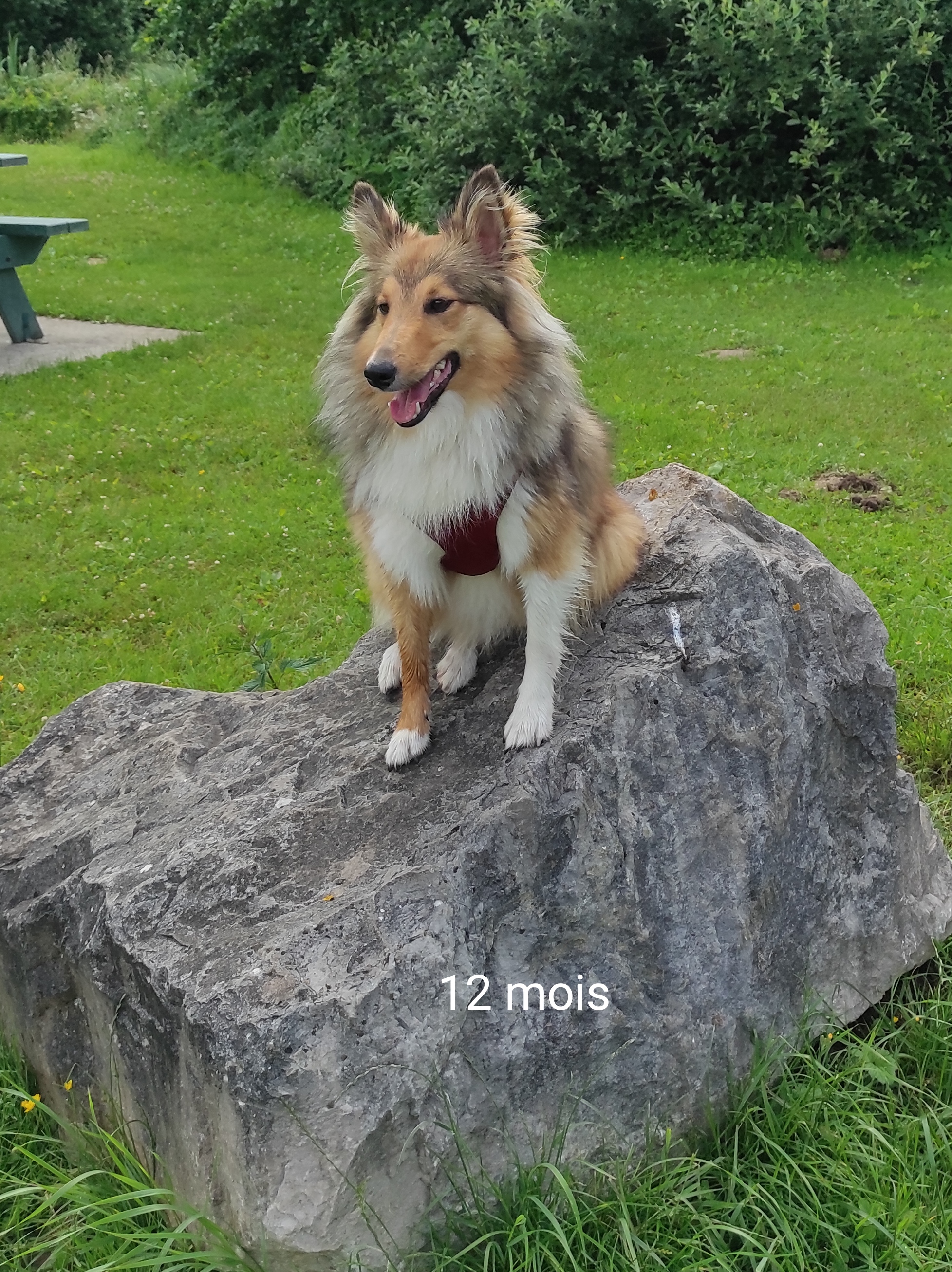 Photo n° 2 de l'avis de christophe.t fait le 07/08/2021 à 08:45