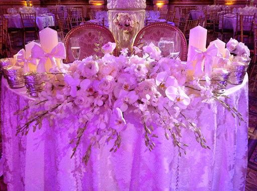 Plant Nursery «A & S Whitestone Nursery», reviews and photos, 2302 Francis Lewis Blvd, Whitestone, NY 11357, USA