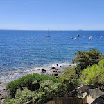 Photo n°3 de l'avis de Simona.e fait le 11/07/2022 à 08:58 sur le  LENTISCO à Livorno