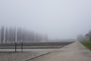 The Dachau Tour image