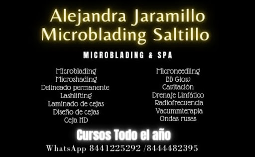 Alejandra Jaramillo Microblading Saltillo