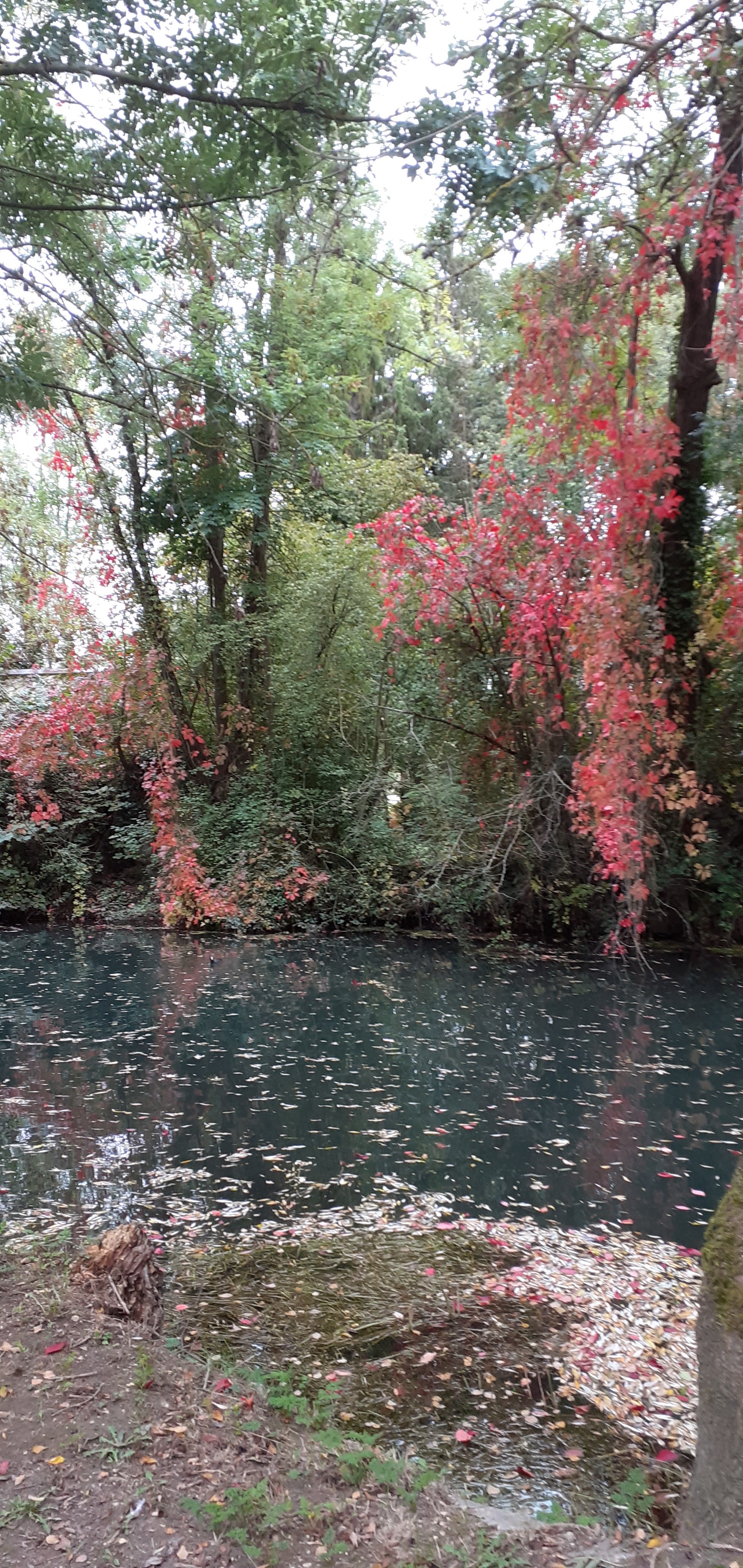 Photo n° 1 de l'avis de chantal.i fait le 08/10/2019 à 14:12