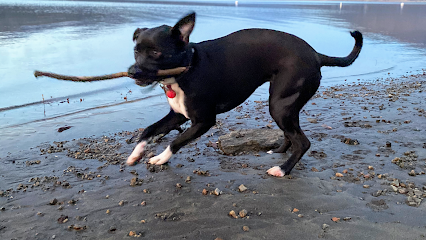 AF1QipPVMUm3vrJC7n-uWT5lBbHQeossUy3ApXuCAF8k=w426-h240-k-no