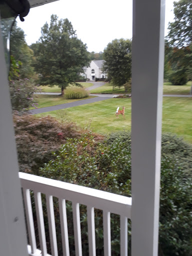 Golf Club «Stonybrook Golf Club», reviews and photos, 207 Stony Brook Rd, Hopewell, NJ 08525, USA