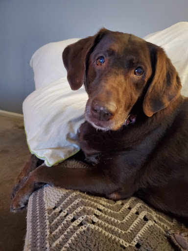 Pet Store «Pet Valu», reviews and photos, 190 Forty Foot Rd, Hatfield, PA 19440, USA