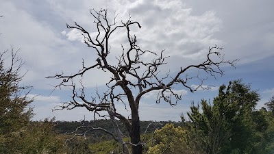 Photos of Mount Lofty Park