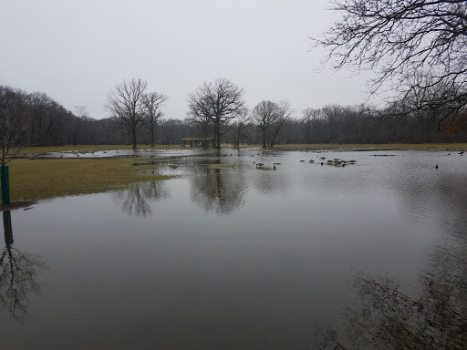 Nature Preserve «Harms Woods», reviews and photos, Harms Rd, Glenview, IL 60025, USA