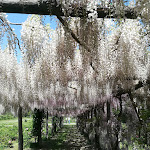 Photo n°2 de l'avis de Silvia.r fait le 25/04/2019 à 15:17 sur le  Garden Restaurant Colour Café à Vitorchiano