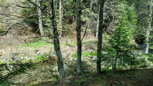 Barbecue Restaurant «Back Forty», reviews and photos, 100 Coggins Dr, Pleasant Hill, CA 94523, USA